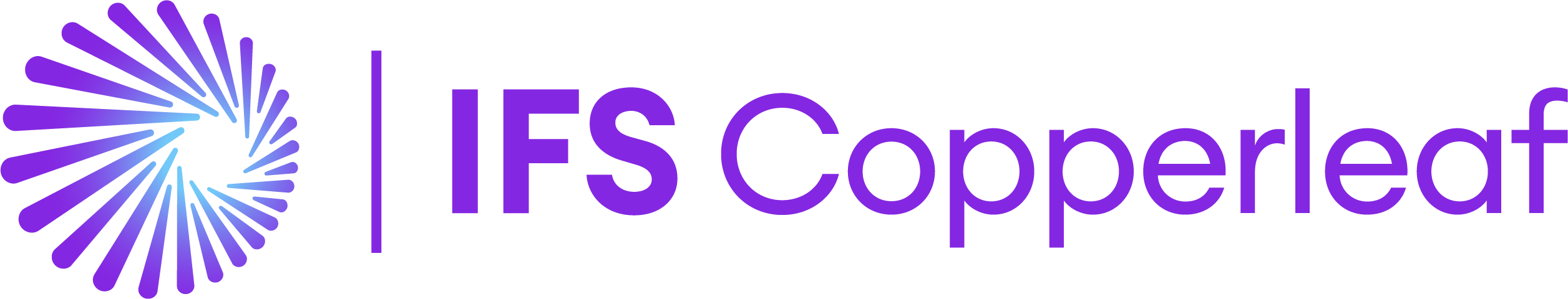 IFS Copperleaf Logo
